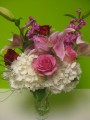 Fresh Lovely Love