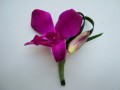 Fresh Orchid Boutonniere