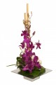 Clean, Contemporary and slightly modern, The Orchid presents a more structured arrangement.  Tropical Dendrobium Orchids appear to be anchored by staggered bamboo with a soft accent of hydrangea, galax leaves and loops of grass.