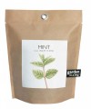 Mint Garden.in.a.Bag
