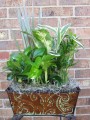 Fresh Tin Dish Garden