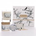 Avalon Gift Set